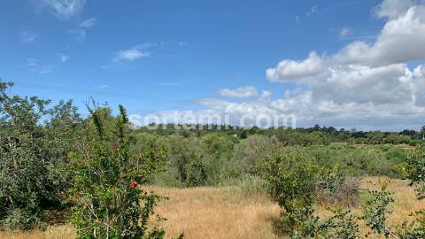 Terreno Para Construção  Venda em Almancil,Loulé