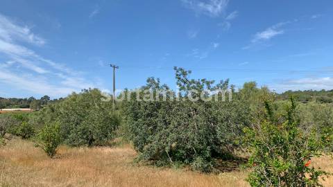 Terreno Para Construção  Venda em Almancil,Loulé