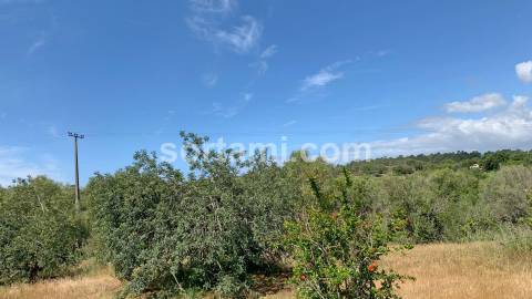 Terreno Para Construção  Venda em Almancil,Loulé