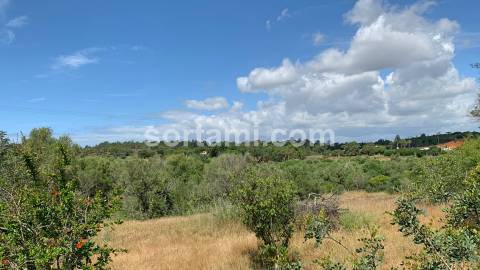 Terreno Para Construção  Venda em Almancil,Loulé