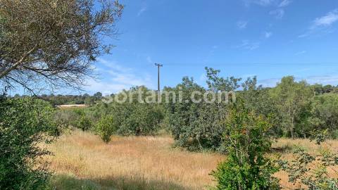 Terreno Para Construção  Venda em Almancil,Loulé