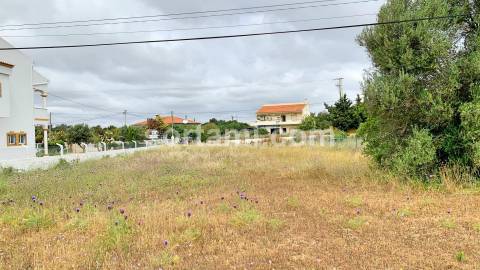 Terreno Para Construção  Venda em Almancil,Loulé