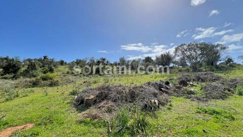 Terreno Para Construção  Venda em Algoz e Tunes,Silves