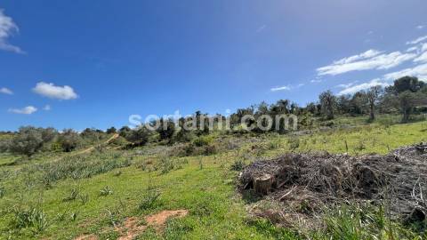 Terreno Para Construção  Venda em Algoz e Tunes,Silves