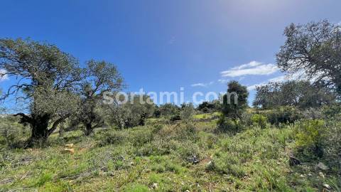 Terreno Para Construção  Venda em Algoz e Tunes,Silves