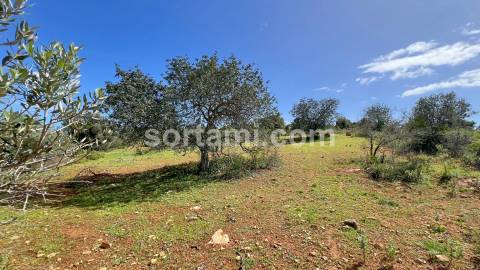 Terreno Para Construção  Venda em Algoz e Tunes,Silves