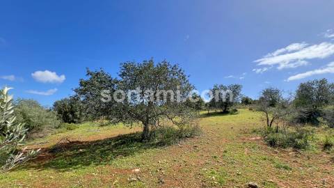 Terreno Para Construção  Venda em Algoz e Tunes,Silves