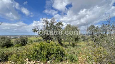 Terreno Para Construção  Venda em Algoz e Tunes,Silves