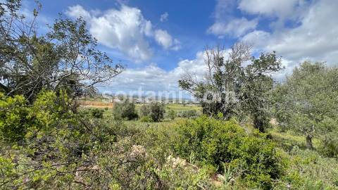 Terreno Para Construção  Venda em Algoz e Tunes,Silves
