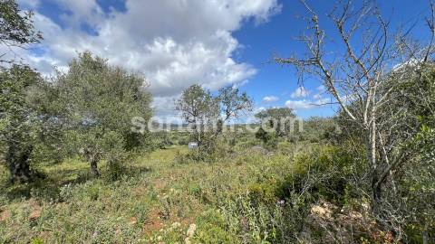 Terreno Para Construção  Venda em Algoz e Tunes,Silves