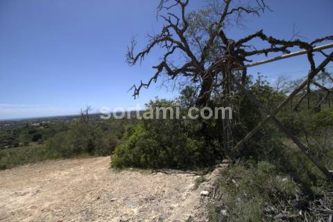 Terreno Para Construção  Venda em Loulé (São Sebastião),Loulé