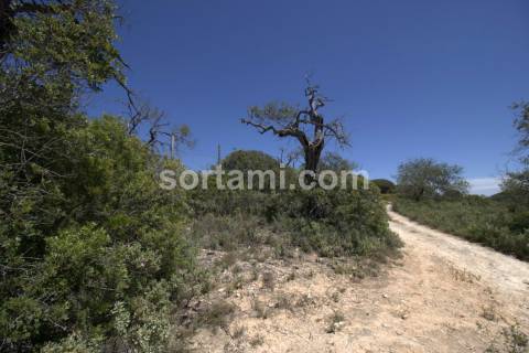 Terreno Para Construção  Venda em Loulé (São Sebastião),Loulé