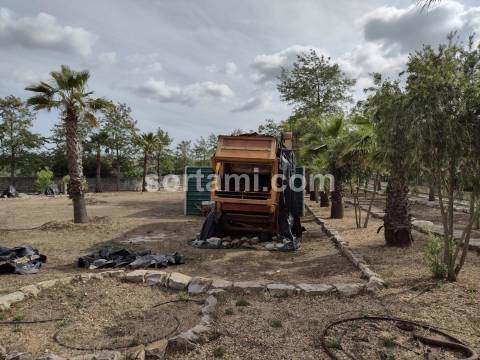 Moradia Isolada T3+2 Venda em São Miguel do Pinheiro, São Pedro de Solis e São Sebastião dos Carros,Mértola