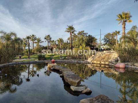 Moradia Isolada T3+2 Venda em São Miguel do Pinheiro, São Pedro de Solis e São Sebastião dos Carros,Mértola