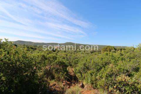Terreno Rústico  Venda em Loulé (São Clemente),Loulé