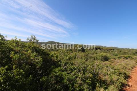 Terreno Rústico  Venda em Loulé (São Clemente),Loulé
