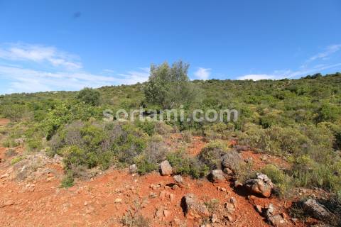 Terreno Rústico  Venda em Loulé (São Clemente),Loulé