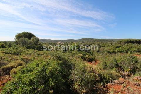 Terreno Rústico  Venda em Loulé (São Clemente),Loulé