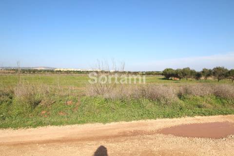 Terreno Rústico  Venda em Quarteira,Loulé