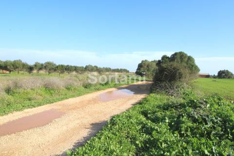 Terreno Rústico  Venda em Quarteira,Loulé