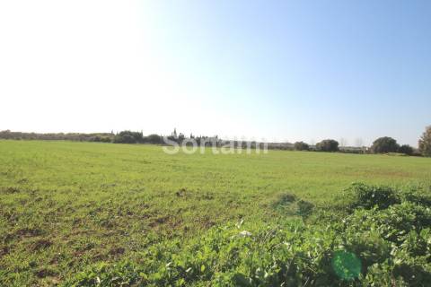 Terreno Rústico  Venda em Quarteira,Loulé