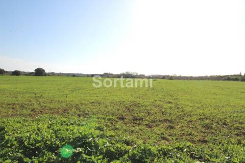Terreno Rústico  Venda em Quarteira,Loulé