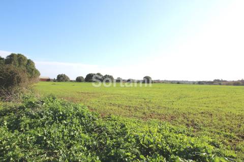 Terreno Rústico  Venda em Quarteira,Loulé
