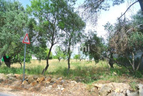 Terreno Para Construção  Venda em Santa Bárbara de Nexe,Faro