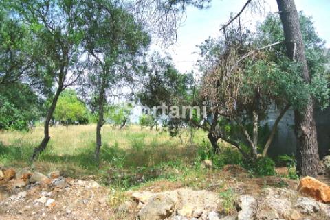 Terreno Para Construção  Venda em Santa Bárbara de Nexe,Faro
