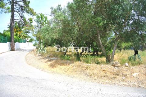 Terreno Para Construção  Venda em Santa Bárbara de Nexe,Faro