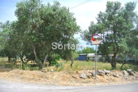 Terreno Para Construção  Venda em Santa Bárbara de Nexe,Faro