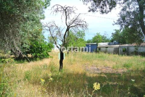 Terreno Para Construção  Venda em Santa Bárbara de Nexe,Faro