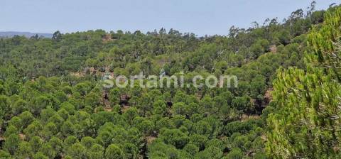 Herdade  Venda em Silves,Silves