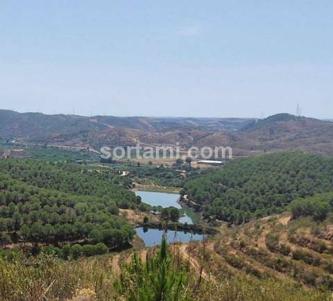 Herdade  Venda em Silves,Silves