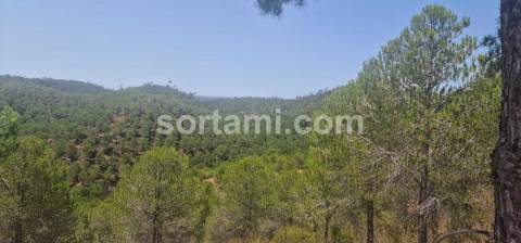 Herdade  Venda em Silves,Silves