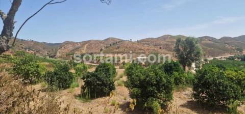 Herdade  Venda em Silves,Silves