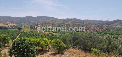 Herdade  Venda em Silves,Silves