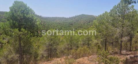 Herdade  Venda em Silves,Silves