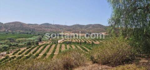 Herdade  Venda em Silves,Silves