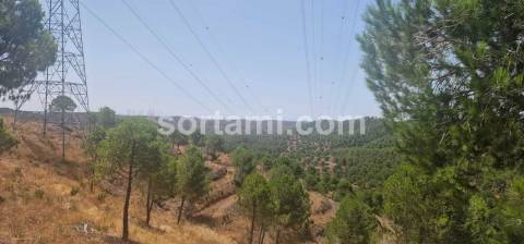 Herdade  Venda em Silves,Silves