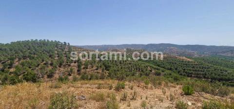 Herdade  Venda em Silves,Silves