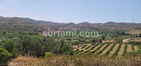 Herdade  Venda em Silves,Silves
