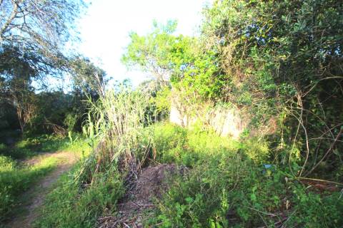 Terreno Para Construção  Venda em Alcantarilha e Pêra,Silves