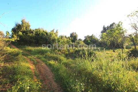 Terreno Para Construção  Venda em Alcantarilha e Pêra,Silves
