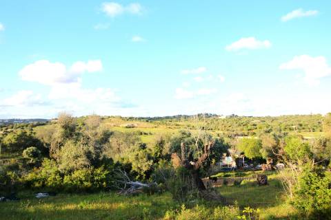 Terreno Para Construção  Venda em Alcantarilha e Pêra,Silves