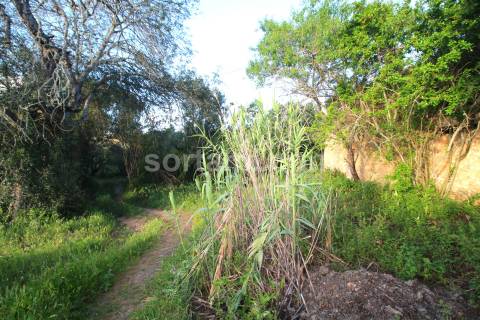 Terreno Para Construção  Venda em Alcantarilha e Pêra,Silves