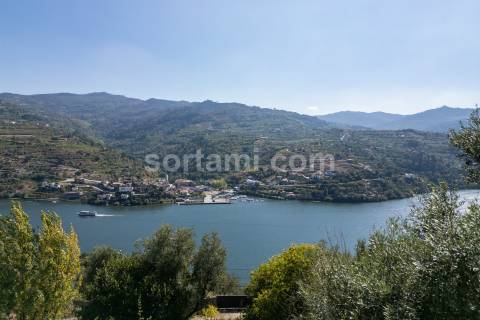 Terreno Para Construção  Venda em Santa Cruz do Douro e São Tomé de Covelas,Baião