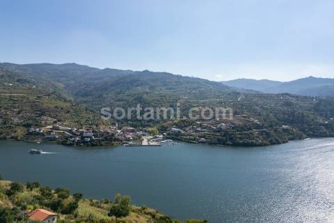 Terreno Para Construção  Venda em Santa Cruz do Douro e São Tomé de Covelas,Baião