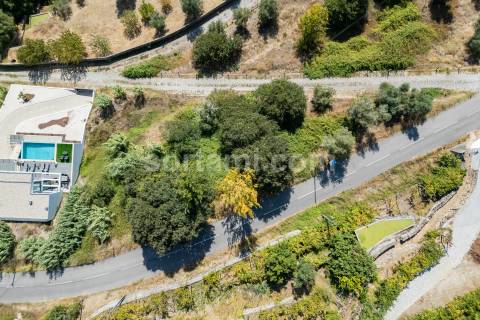 Terreno Para Construção  Venda em Santa Cruz do Douro e São Tomé de Covelas,Baião