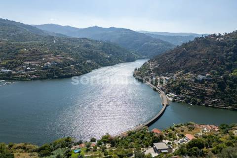 Terreno Para Construção  Venda em Santa Cruz do Douro e São Tomé de Covelas,Baião